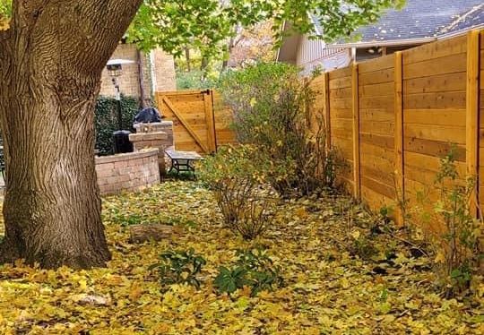 cedar fence installation illinois