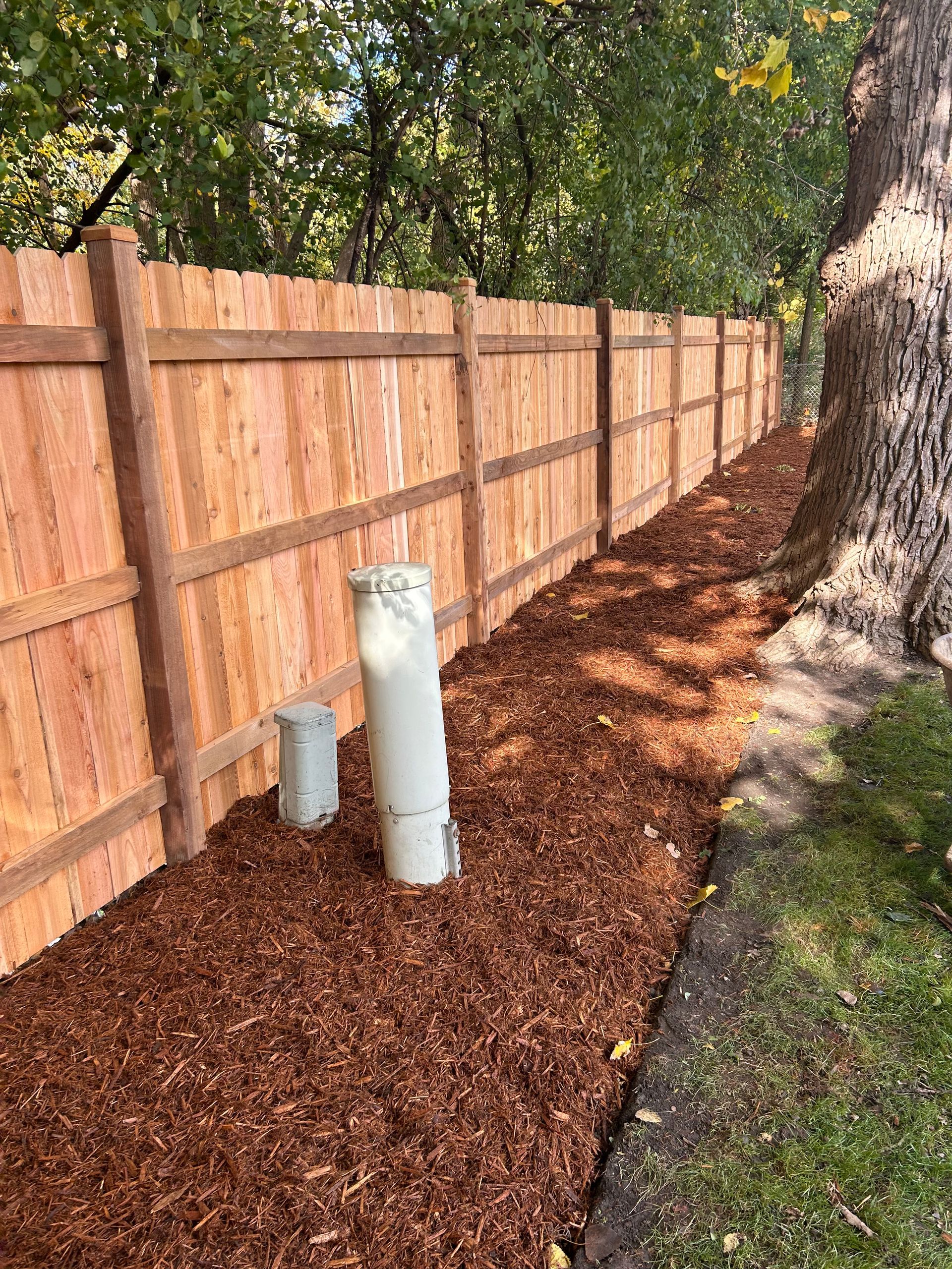 cedar fence installation illinois