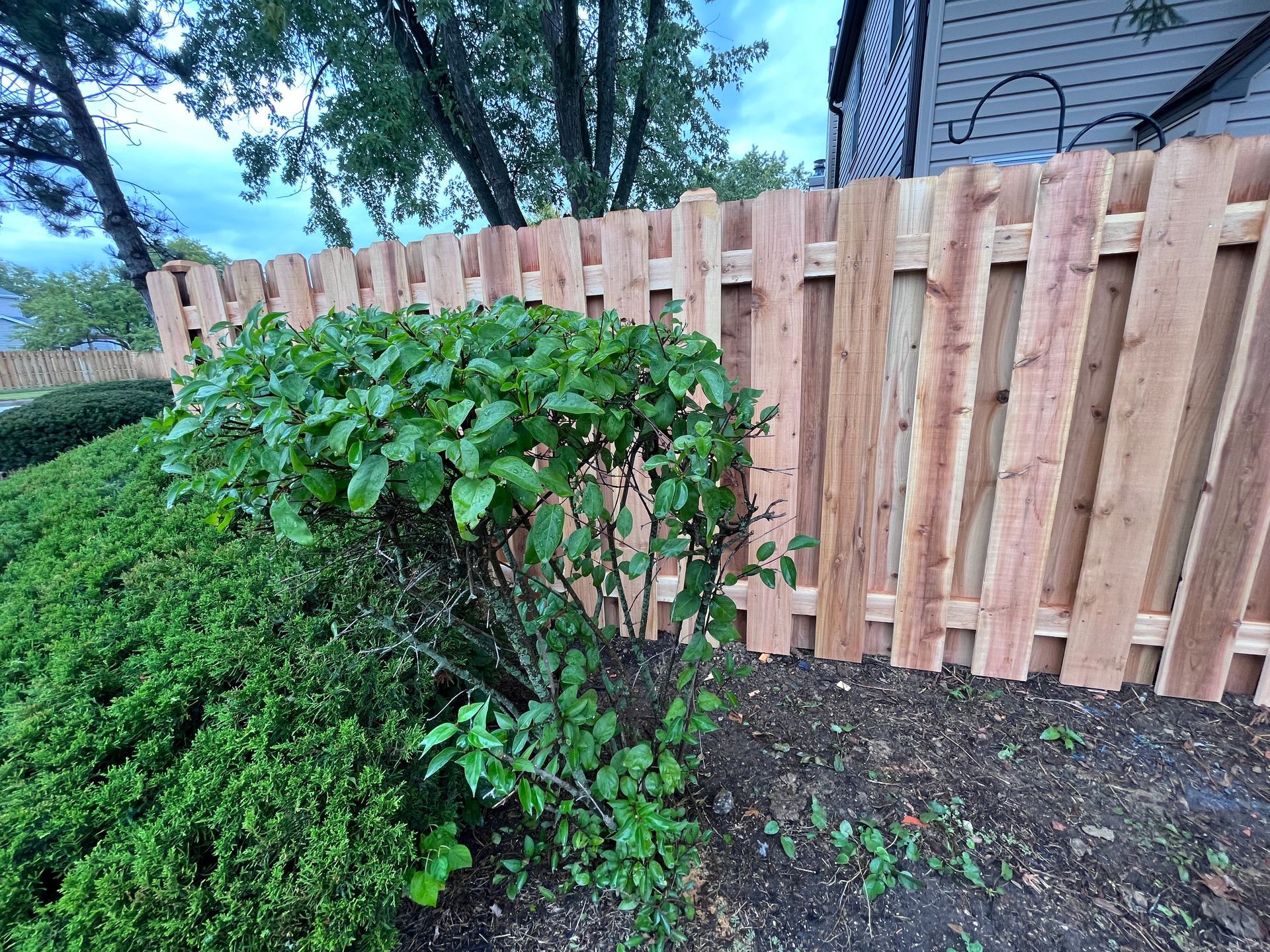 cedar fence installation illinois