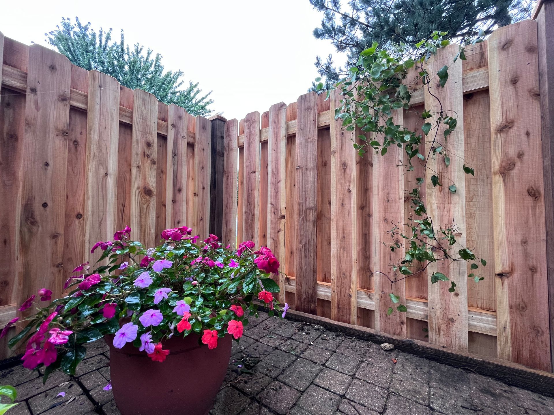 cedar fence installation illinois