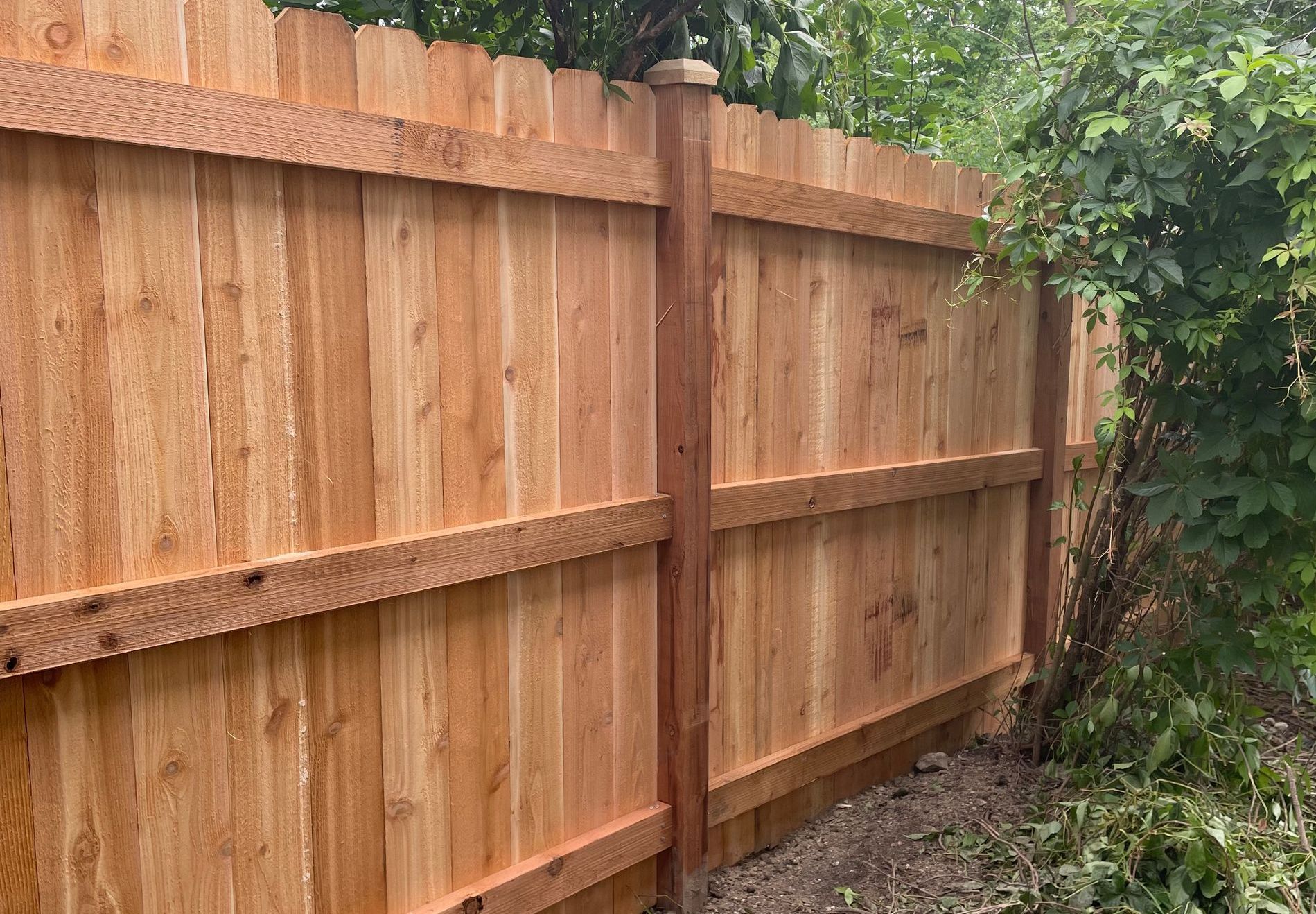 top fence trends of 2024 cedar fence