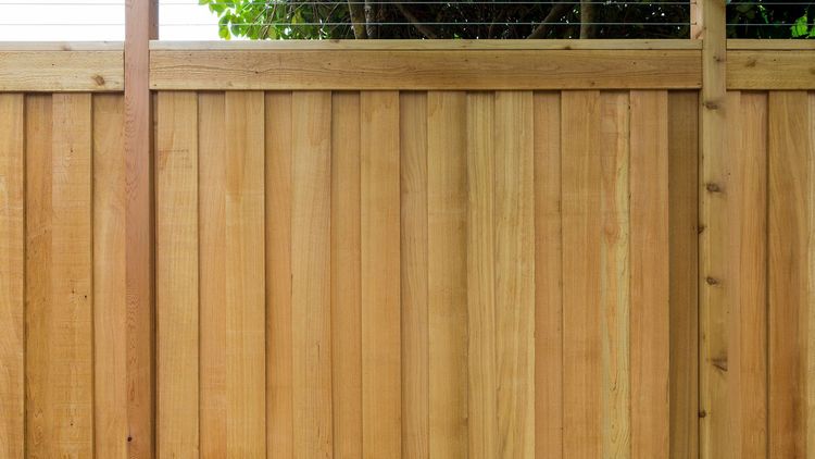 cedar fencing