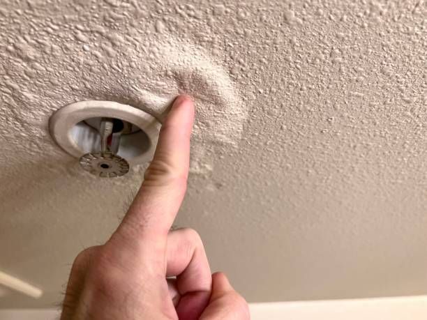 A person is pointing at a fire sprinkler on the ceiling.