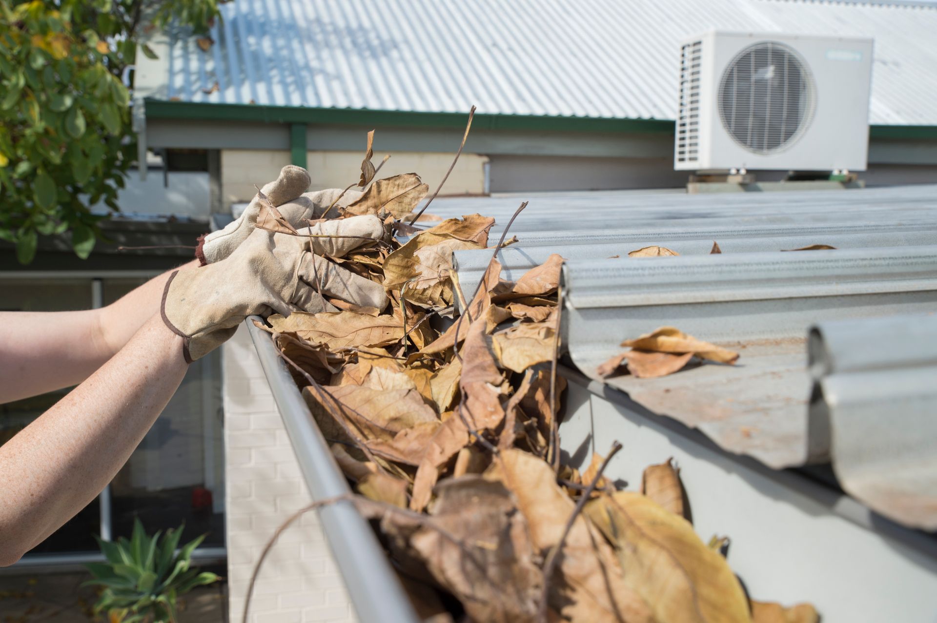 A person is cleaning a gutter of leaves from a roof.