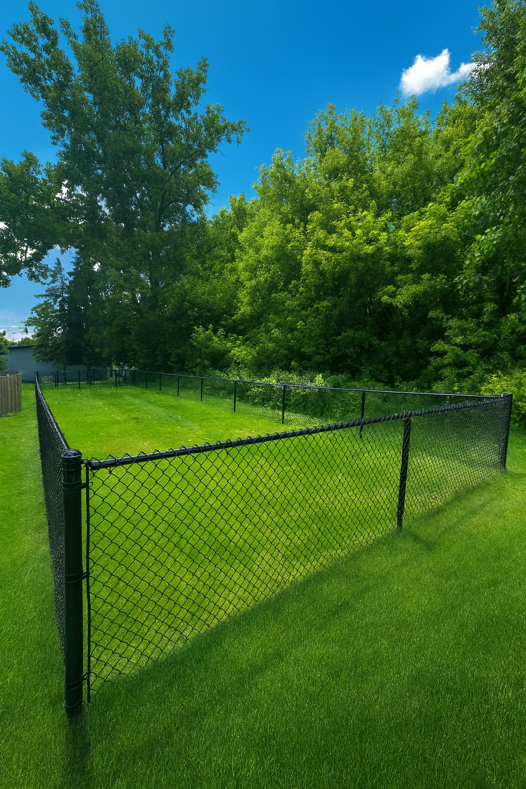 Black chain-link fence encloses a green lawn, lush trees in the background, blue sky with white clouds.