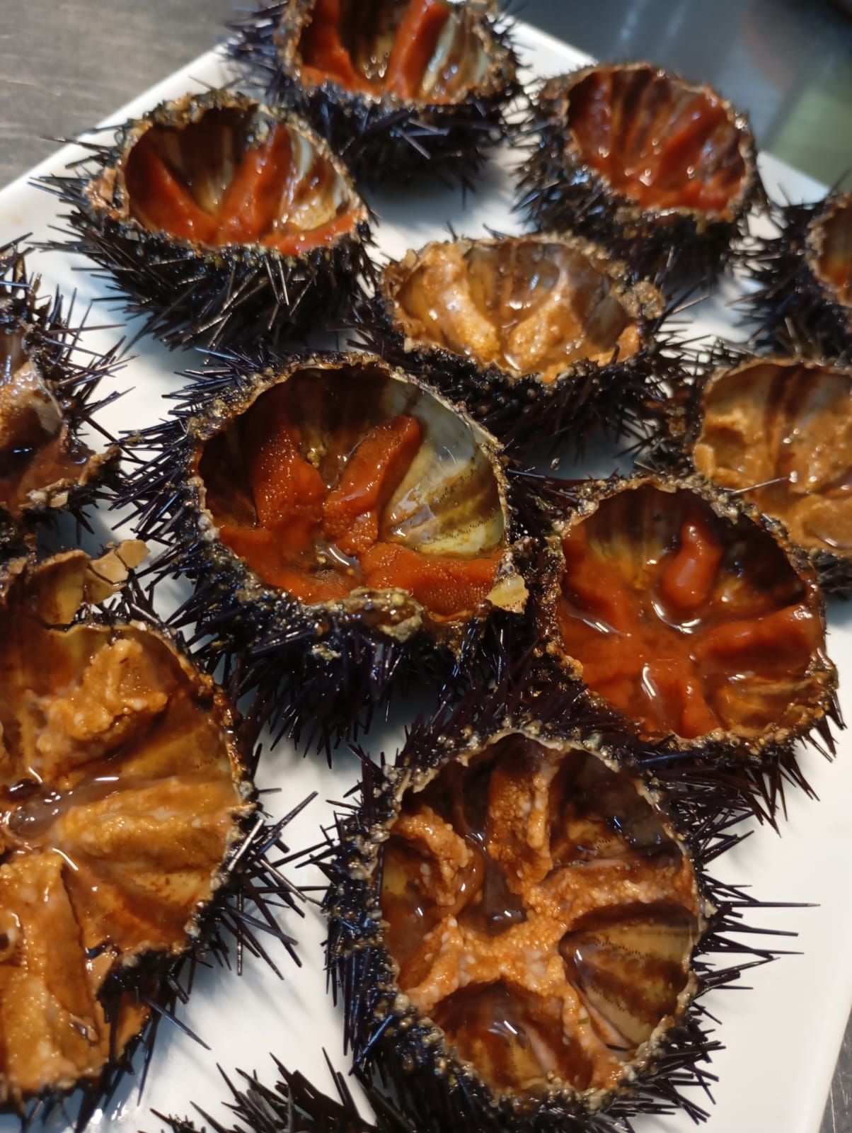 Un mazzo di ricci di mare su un piatto bianco