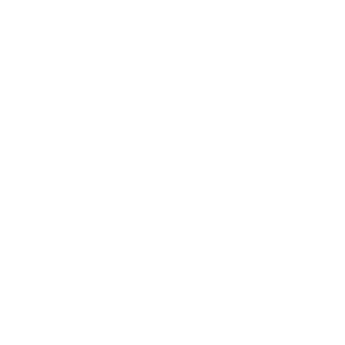 Brothers Logo