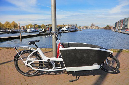 MF Bikes Lastenrad 05