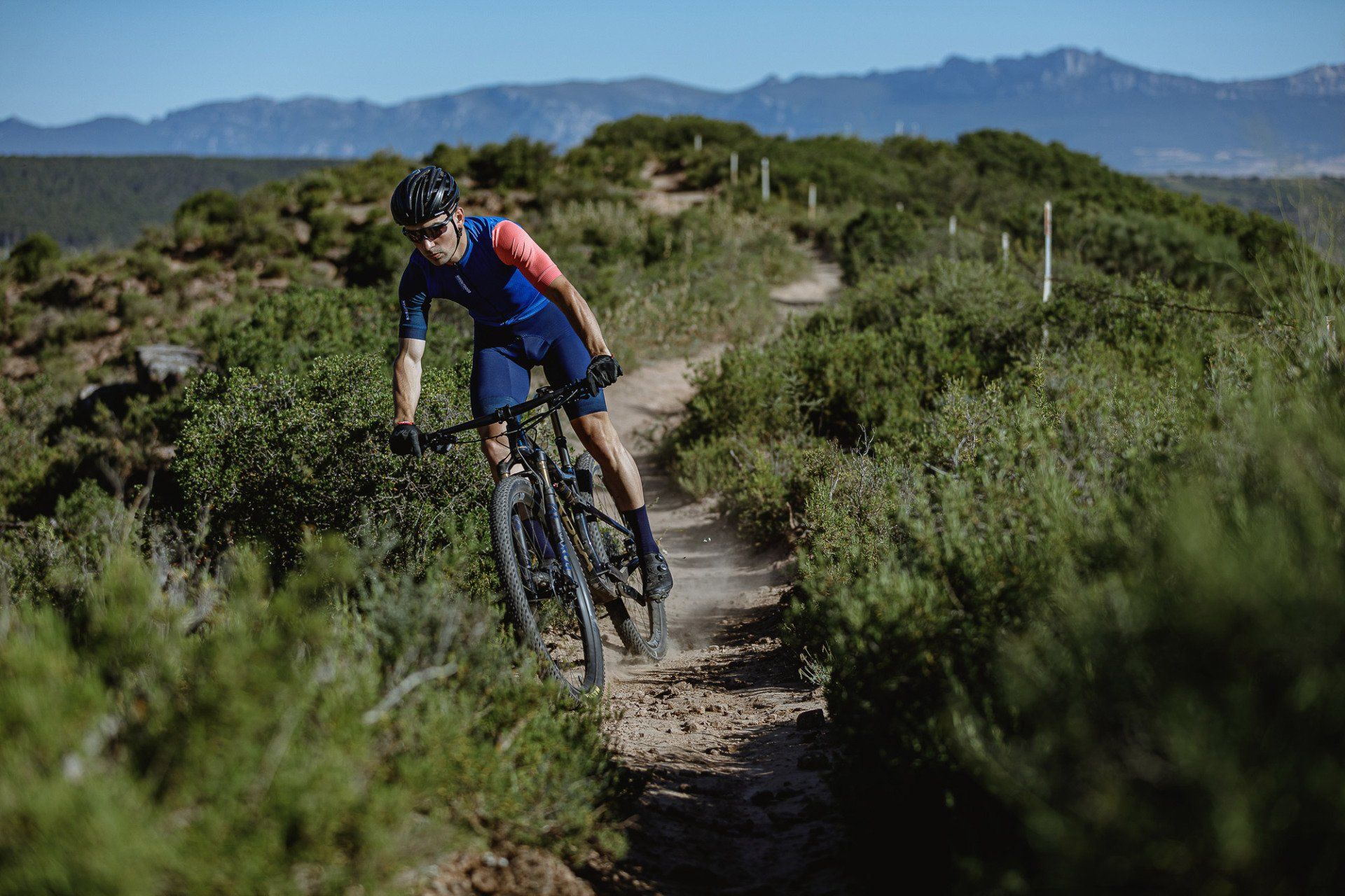 MF Bikes MTB 02
