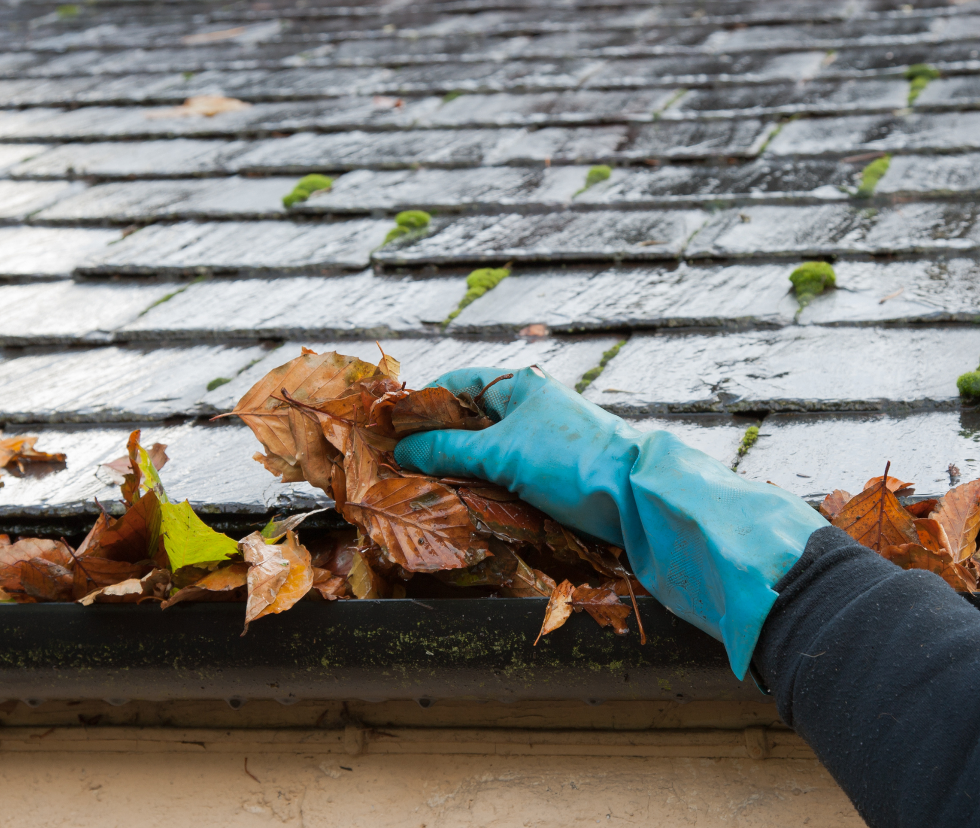 Midwest Tree Service Southern Illinois Gutter Cleaning