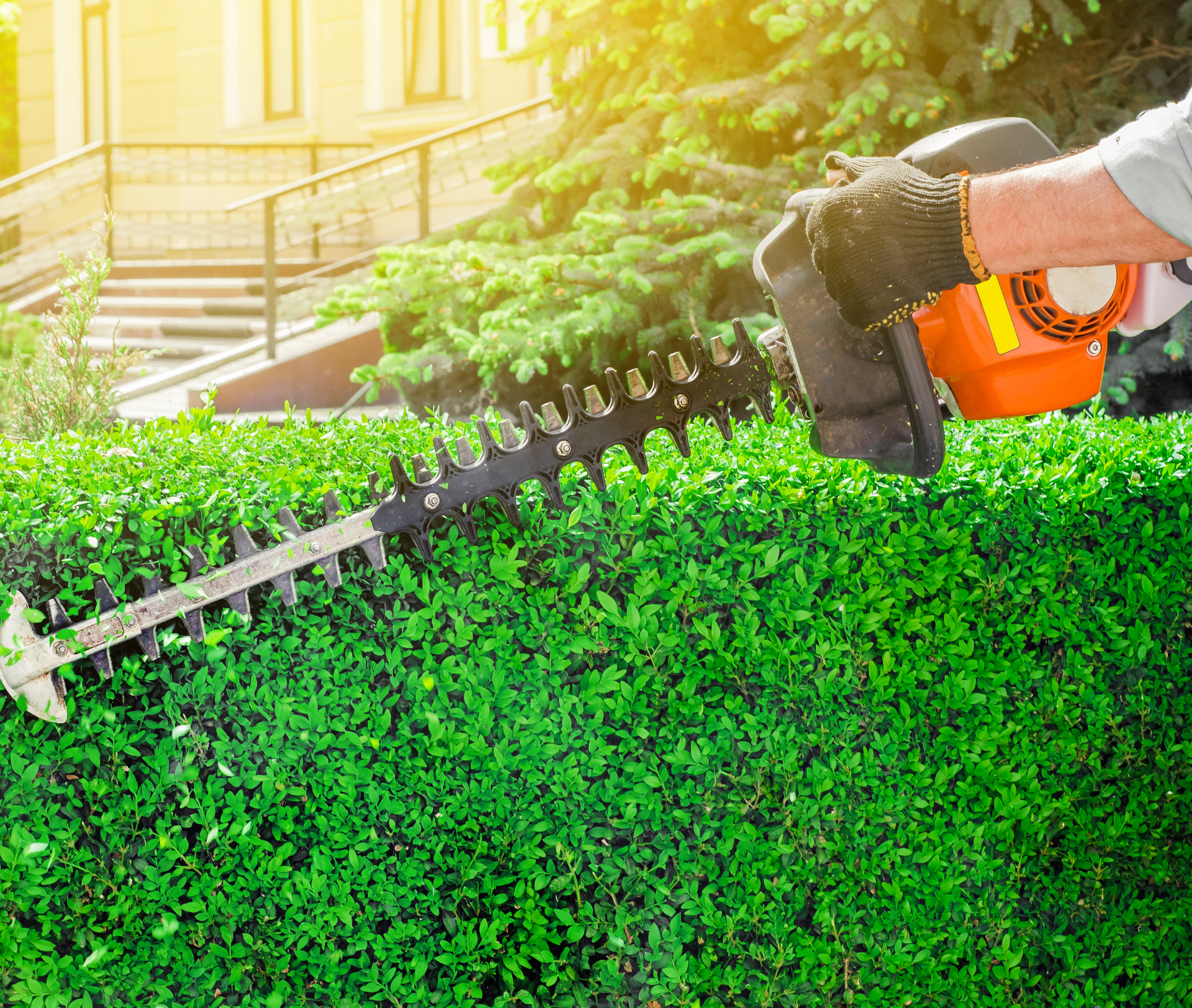 Midwest Tree Service Southern Illinois lawn Care