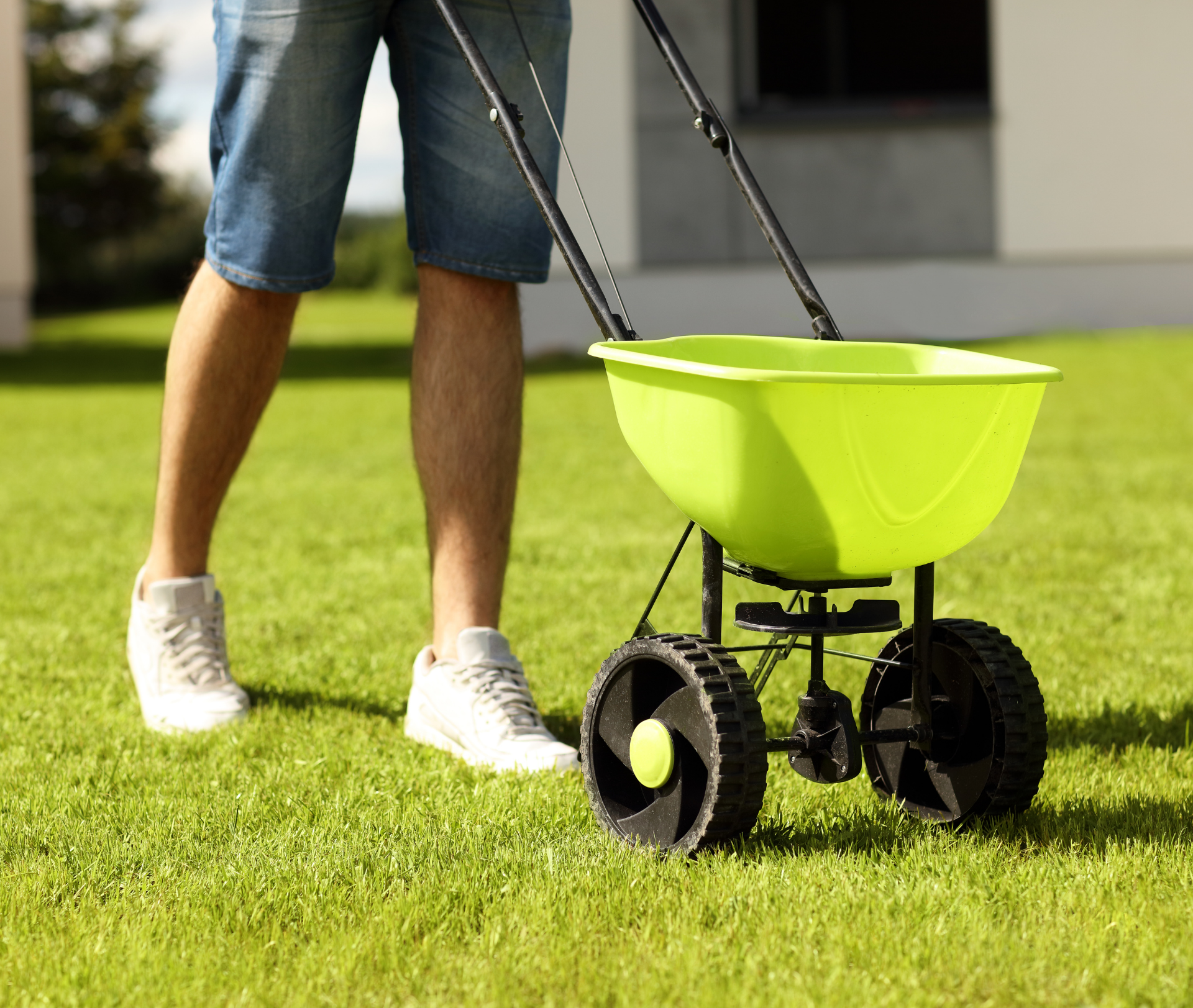 Midwest Tree Service Southern Illinois Lawn Reseeding