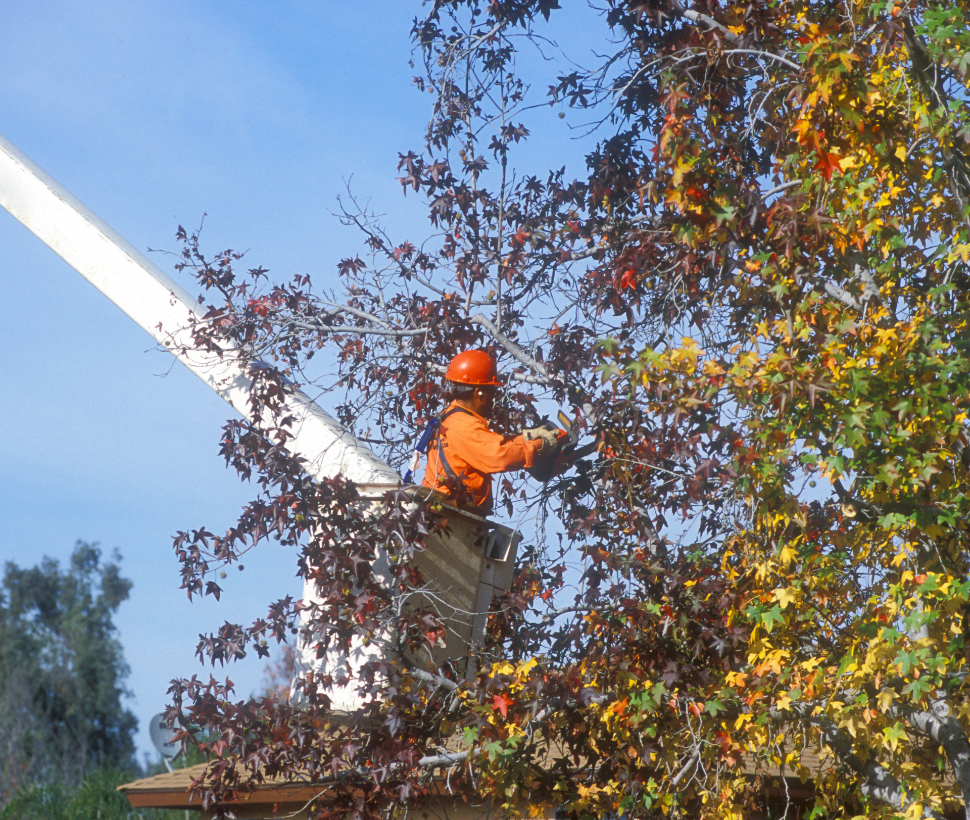 Midwest Tree Service Southern Illinois