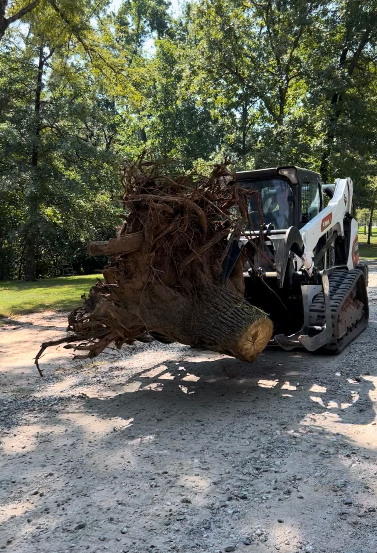 A bulldozer is carrying a large tree stump on a dirt road.