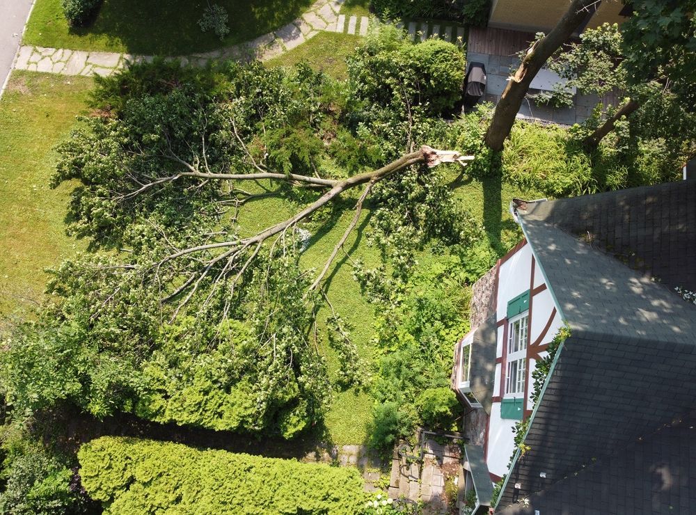 An aerial view of a tree that has fallen on a house