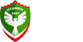 Istanbul ristorante turco pizza e kebab logo