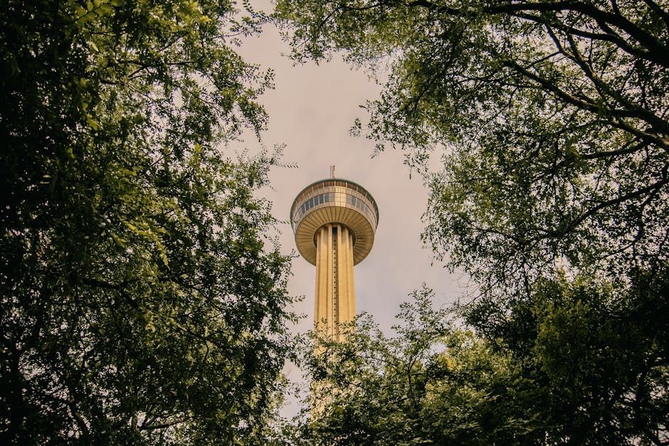 San Antonio skyline featuring the Tower of the Americas - website designer san antonio