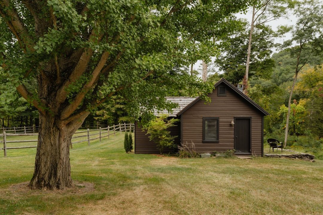 tiny home - digital marketing for tiny home builders