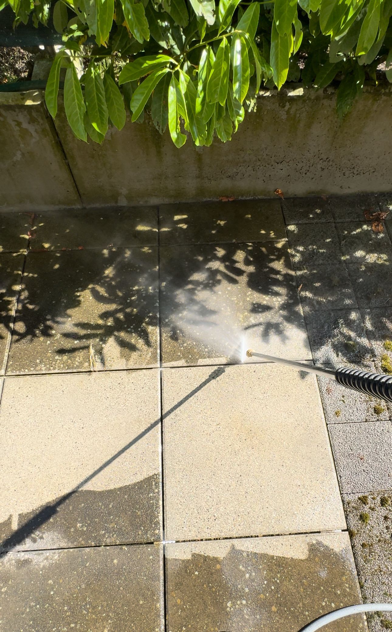 Nettoyeur haute pression arrosant une terrasse en pierre ; feuilles vertes au-dessus.