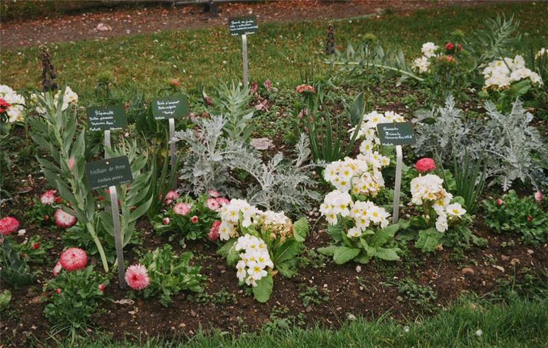 El Monte, CA Funeral Home and Cremations