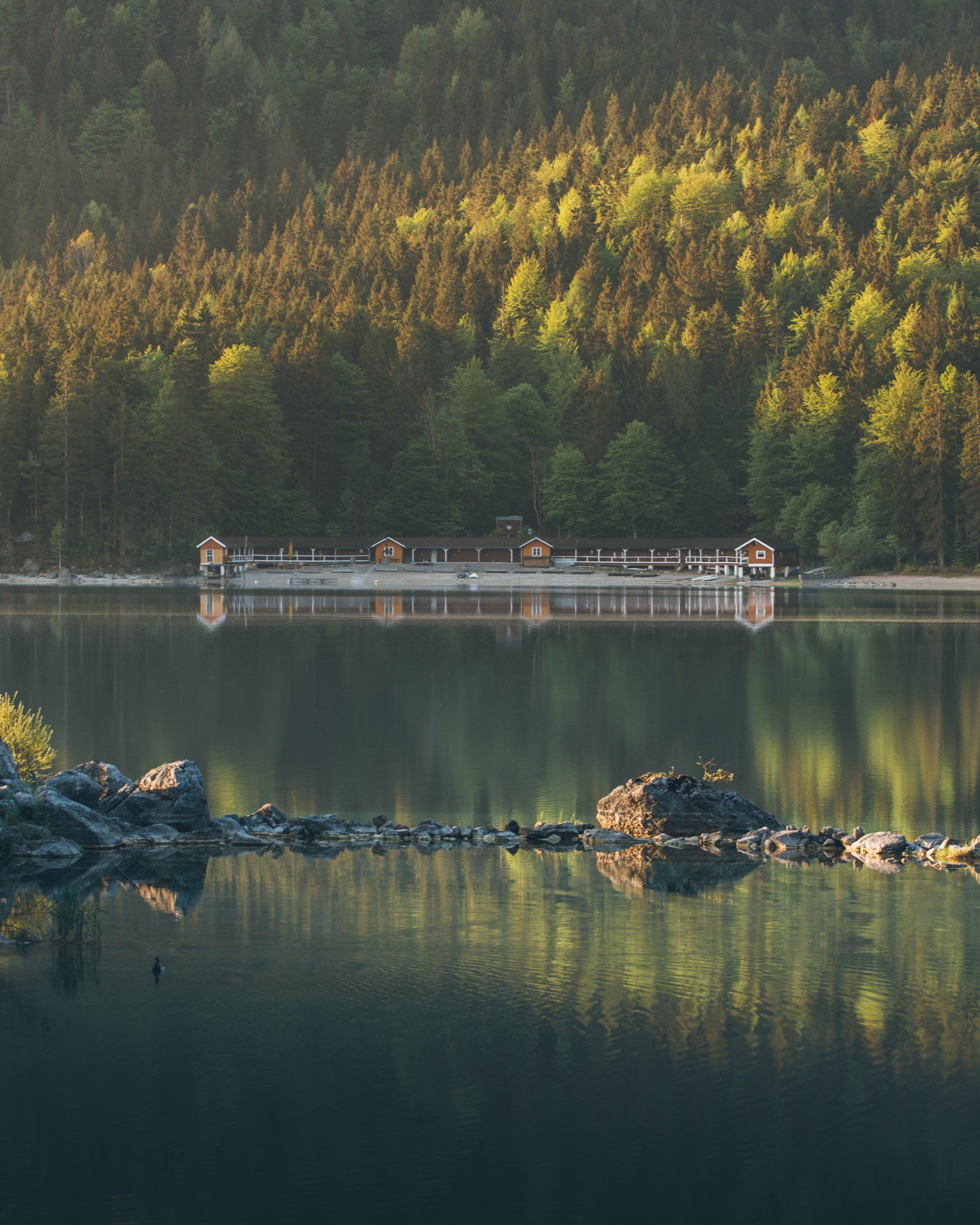 See mit Gebäuden und Wald, die sich im Wasser spiegeln.