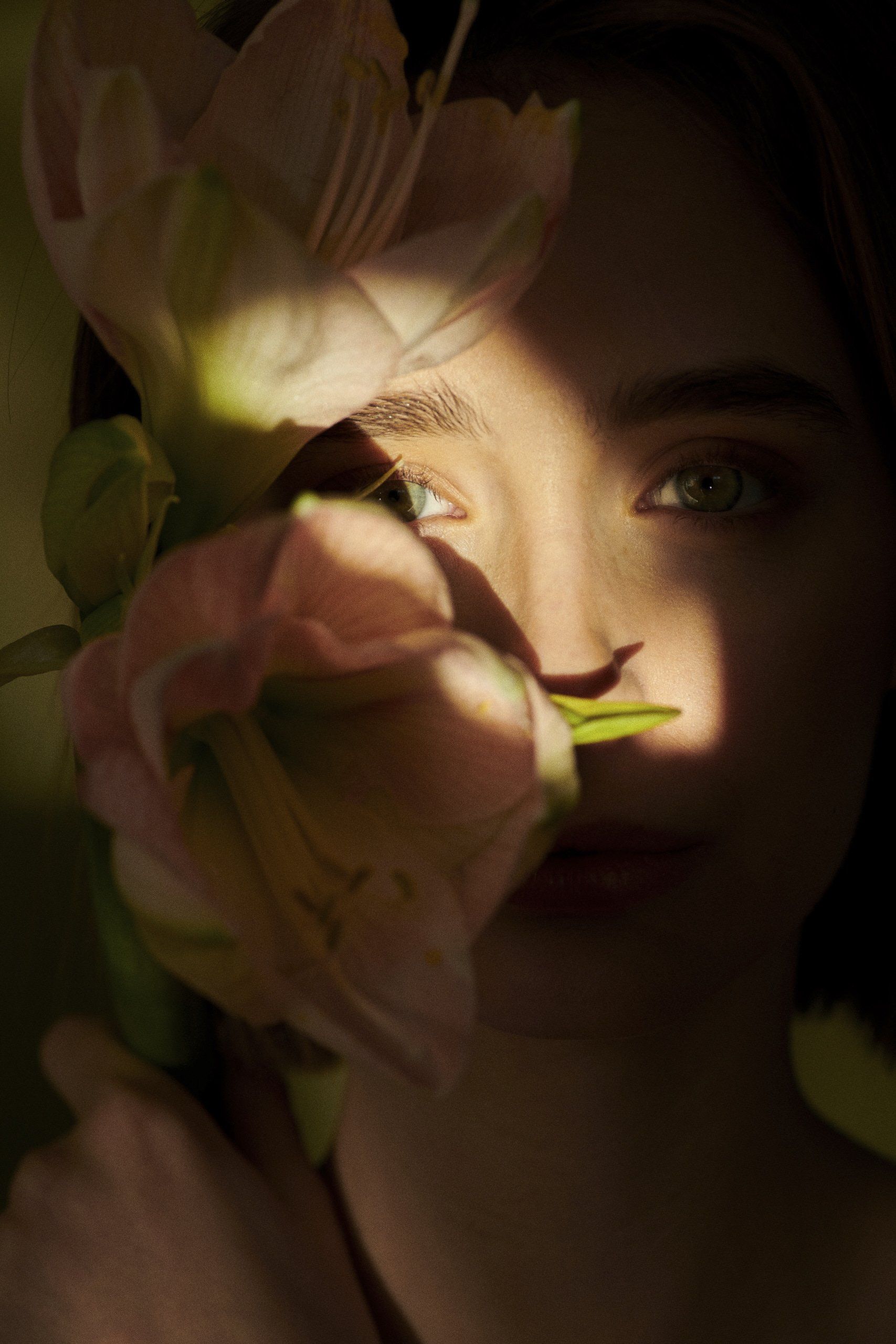 Das Gesicht einer Frau ist teilweise durch zartrosa Blumen verdeckt, das Licht wirft Schatten; warme Töne.