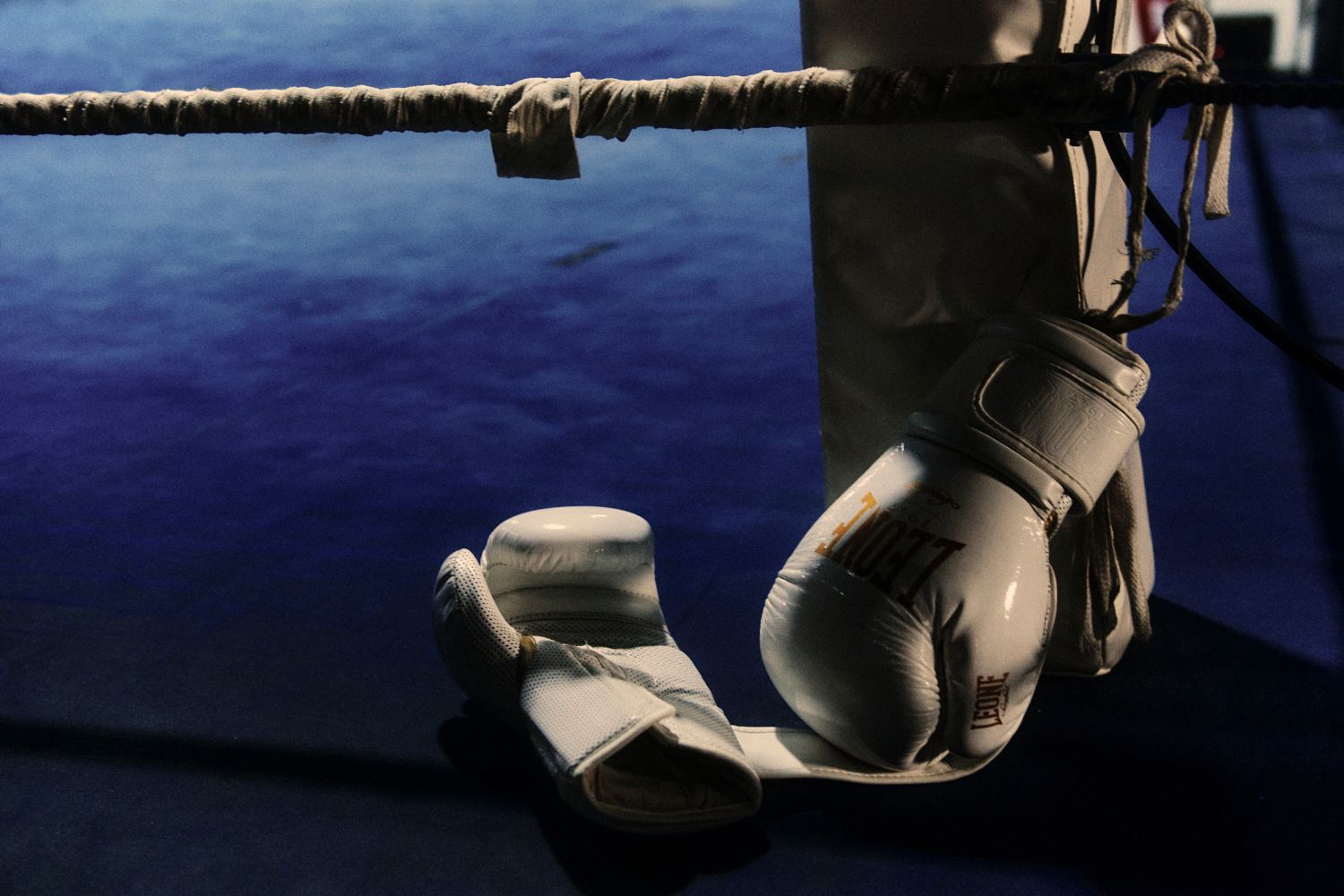 Weiße Boxhandschuhe hängen an den Seilen eines blauen Boxrings.