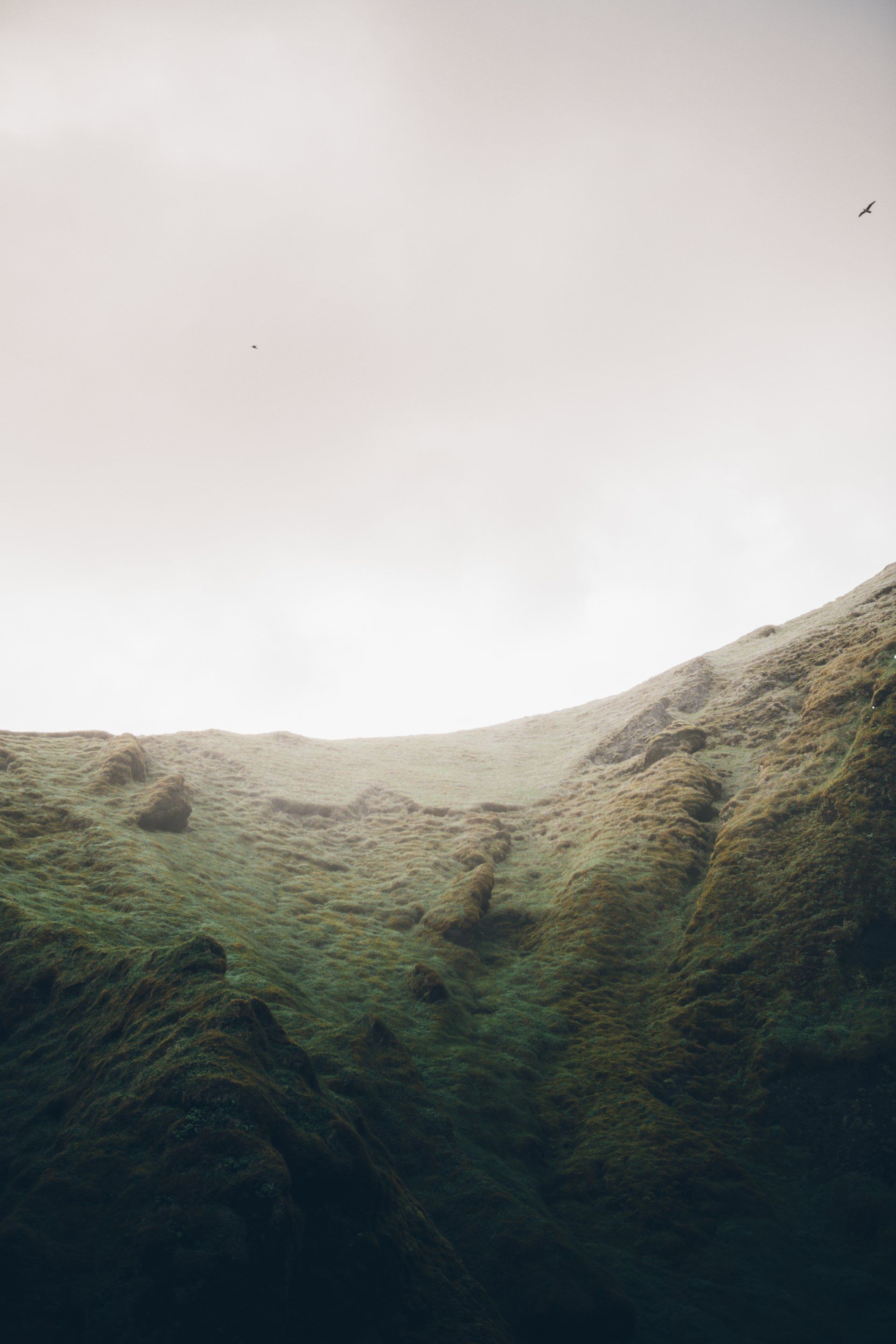 Grasbewachsener Hang unter einem dunstigen, bewölkten Himmel.