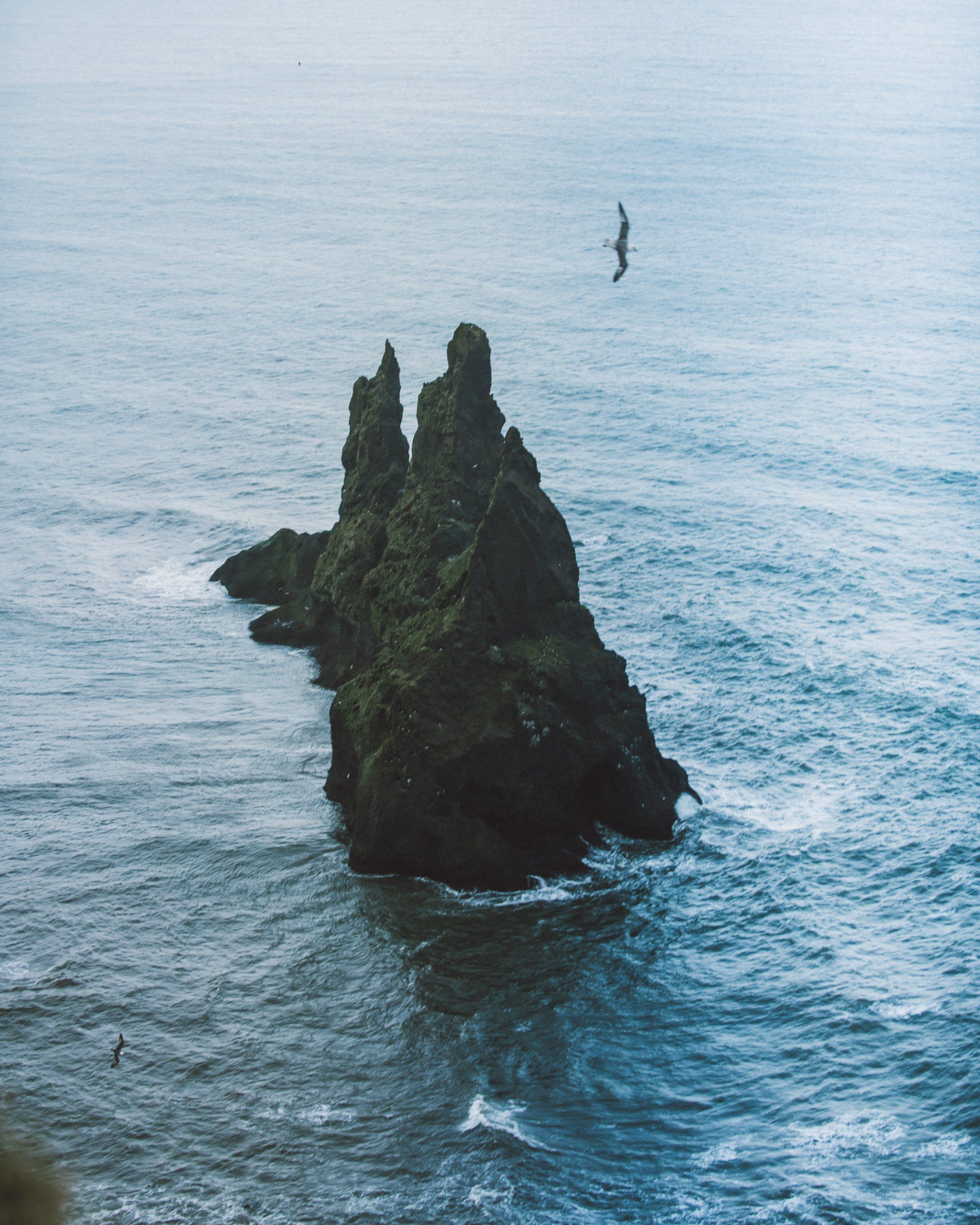 Dunkler, felsiger Felspfeiler mit kleinen Wellen, in einem ruhigen Ozean mit einem Vogel im Flug.