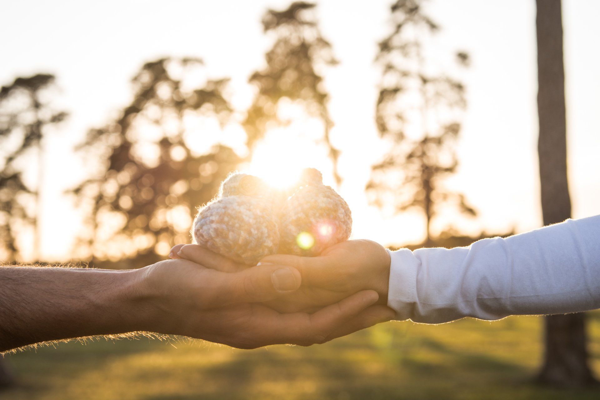 Zwei Hände halten gestrickte Bälle, Sonnenuntergang mit Bäumen im Hintergrund.