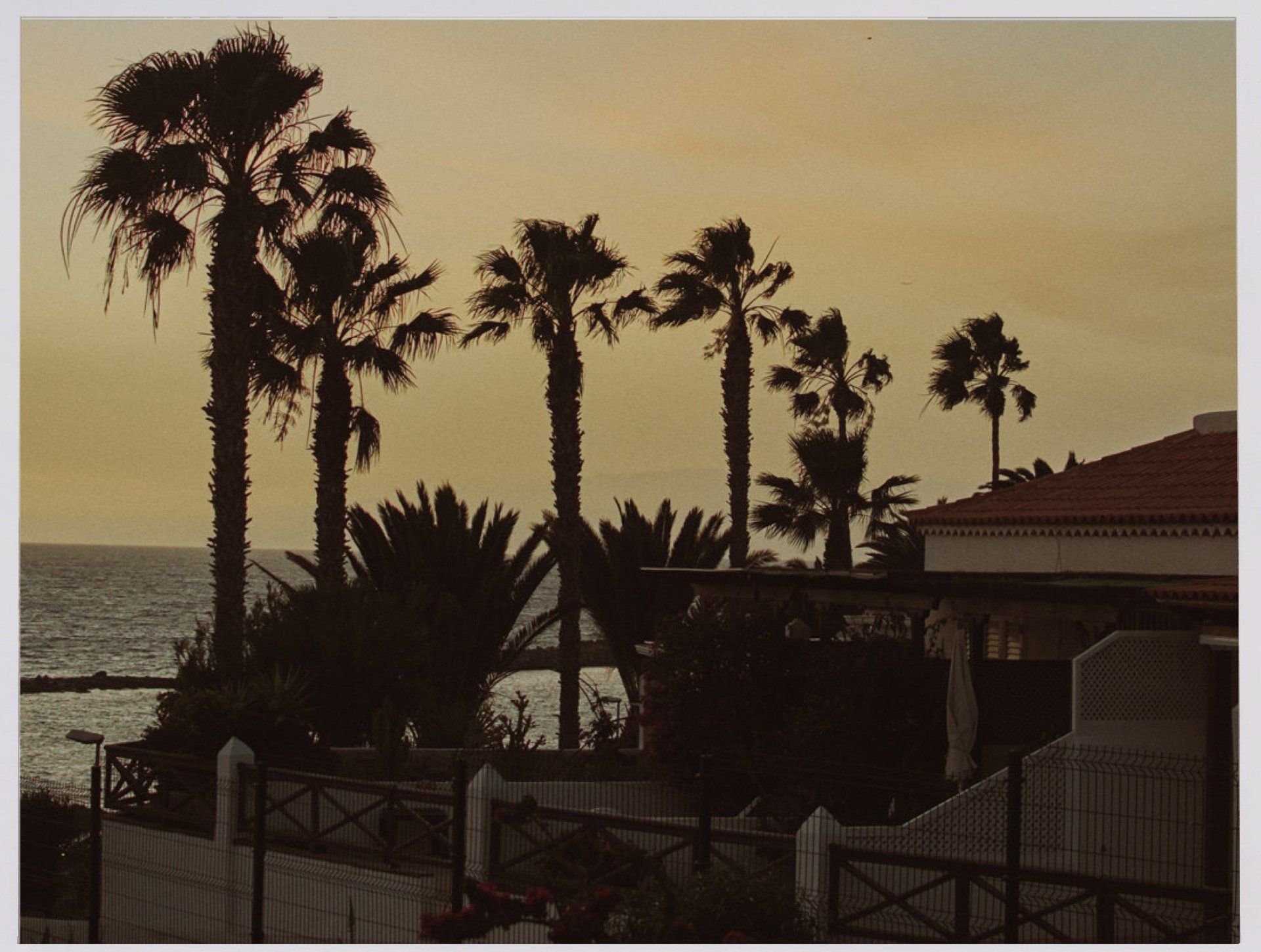 Silhouetten von Palmen und einem Haus bei Sonnenuntergang in der Nähe des Ozeans.