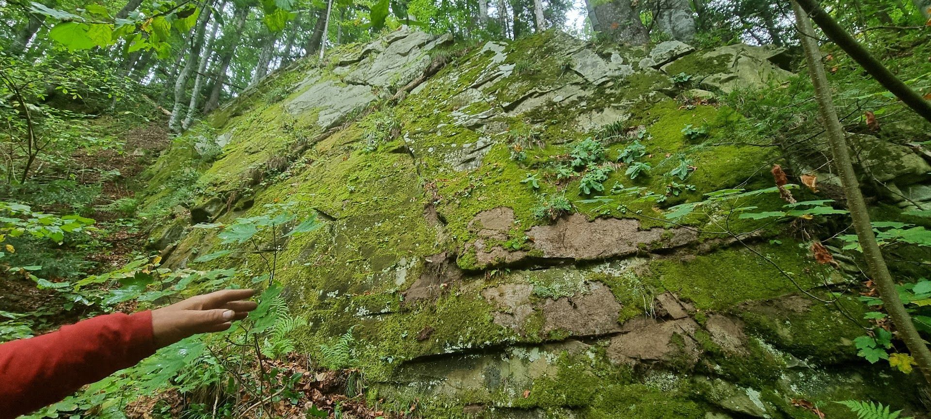 GSF-Ukraine Carpates - mousse falaise