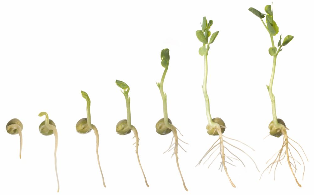 Durch ein Stärkendes Coaching
mehr Klarheit, mehr Wirkung, mehr du.