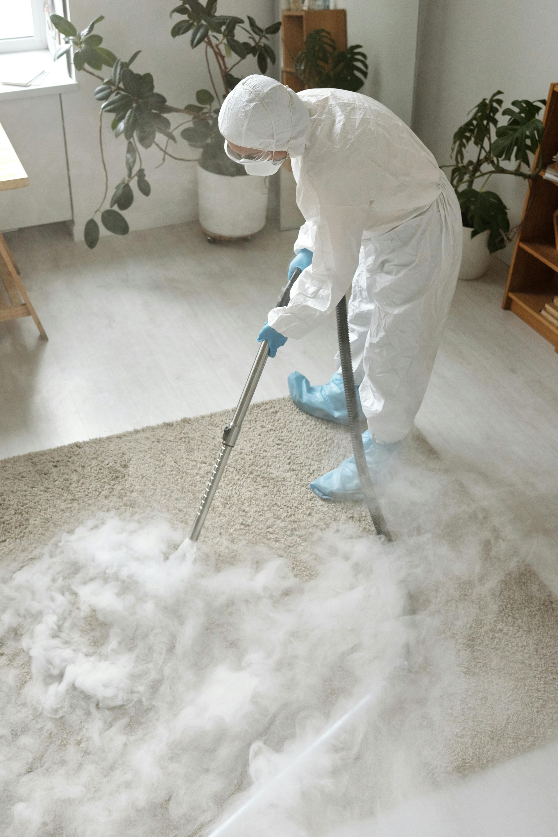 carpet steam cleaning Fremont NE