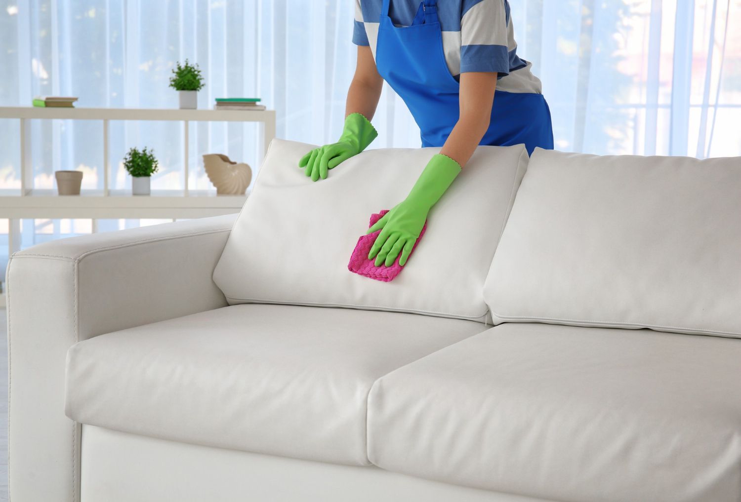 sofa cleaning papillion ne