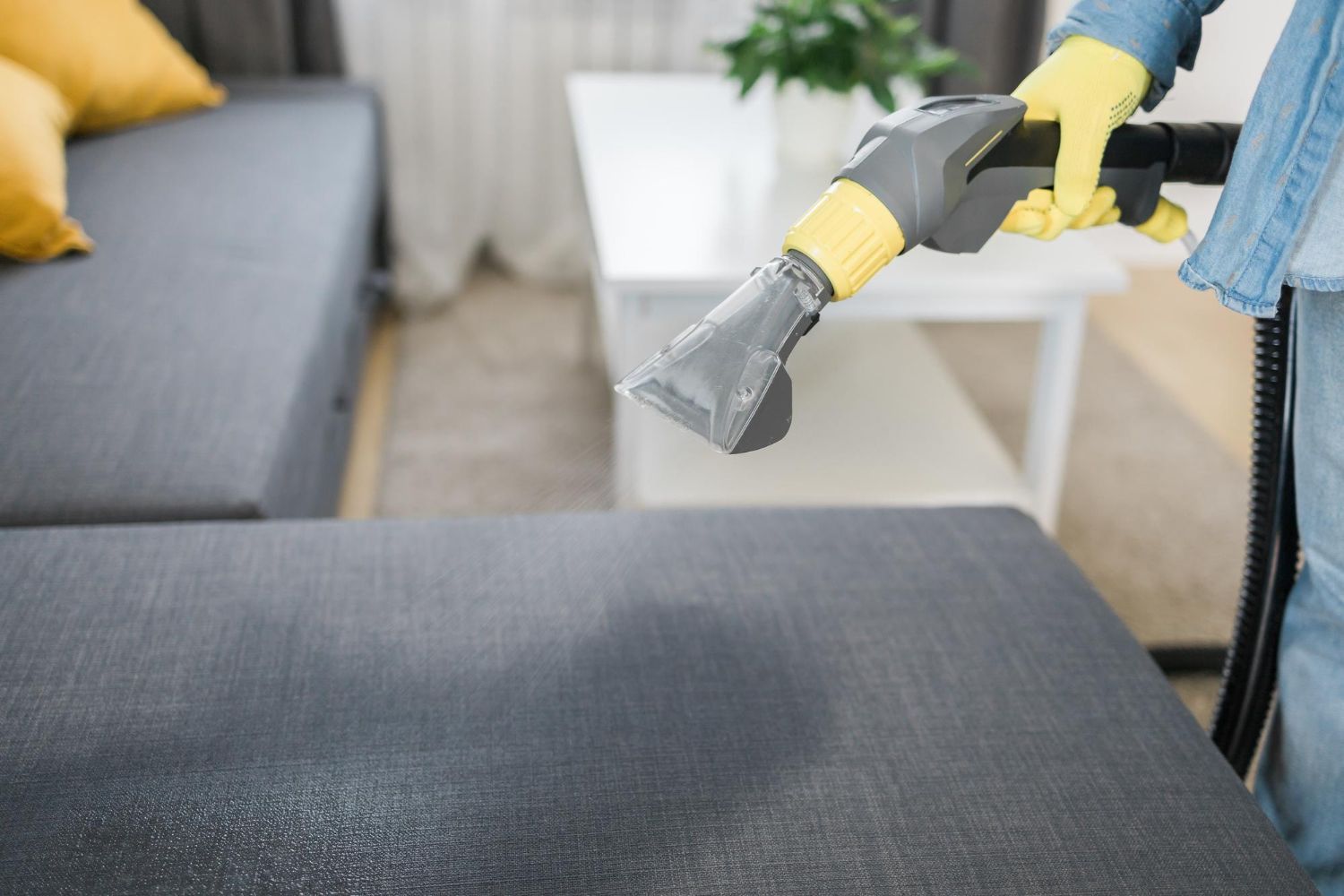 residential upholstery cleaning fremont