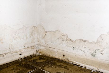 water damage repair