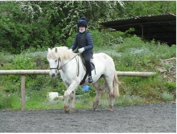 Engine Common Riding School Children's Horse Riding Lesson in Bristol & South Gloucestershire
