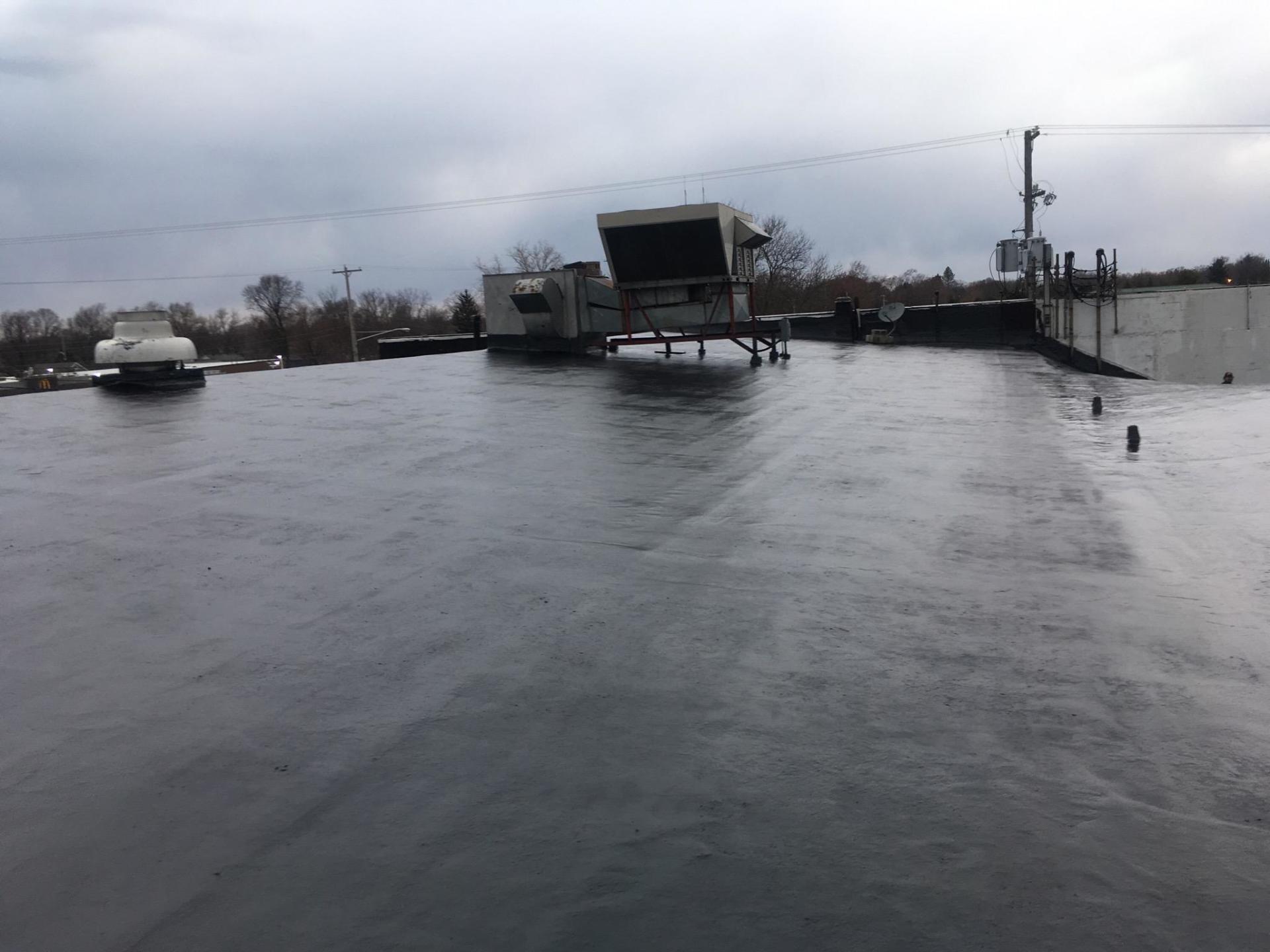 Black Roof-10 year warranty roof 