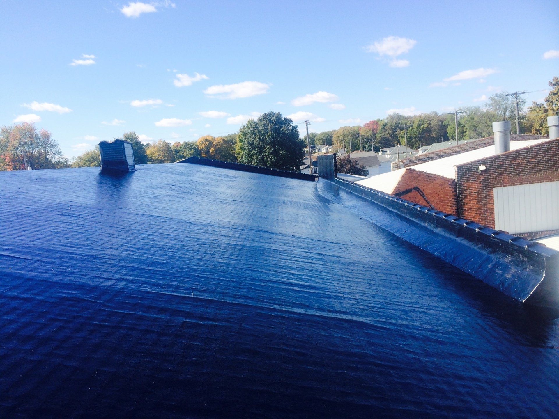 Black Roof-10 year warranty roof 