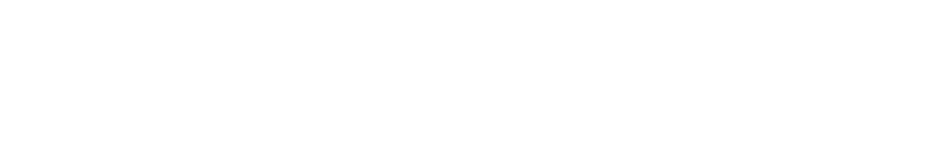Dominique Rivera Signature
