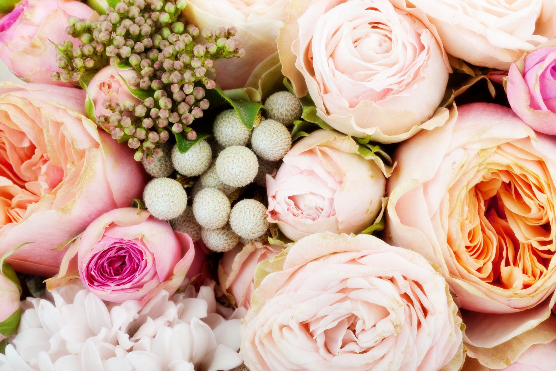 Close-up of a bouquet with light pink and peach roses, white berries, and green foliage.