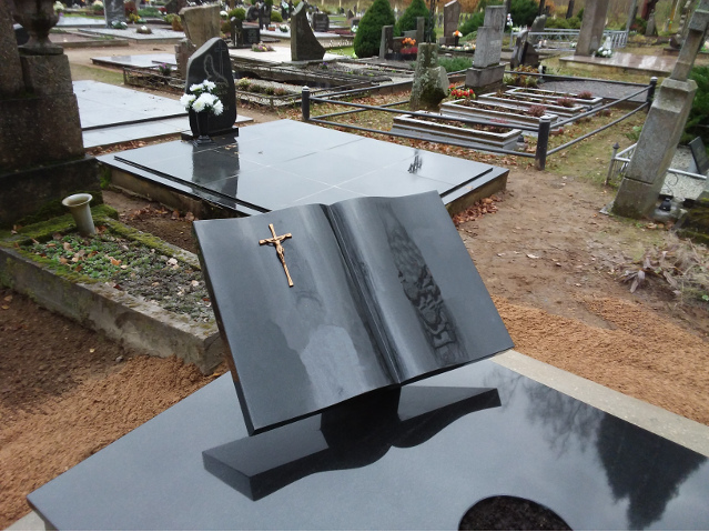 Vienos dalies paminklai