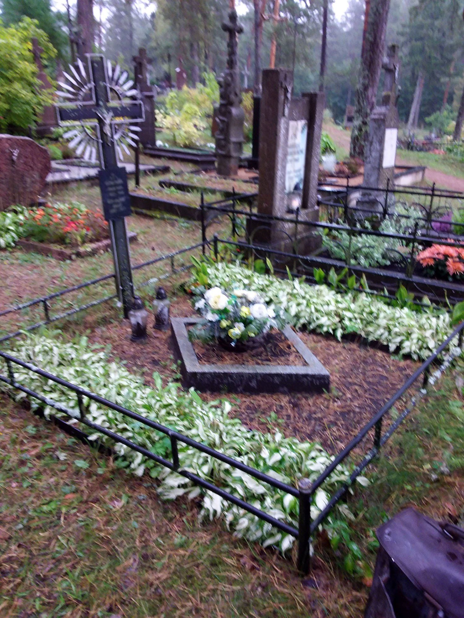 Kapavietės sutvarkymas