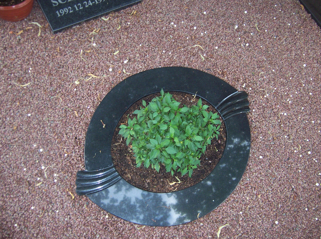 kapavietė su įrengtu gėlynu