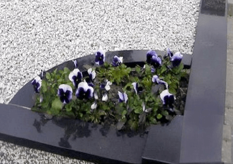 kapavietė su įrengtu gėlynu