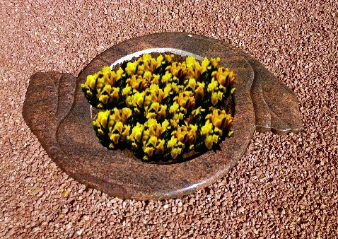 kapavietė su įrengtu gėlynu