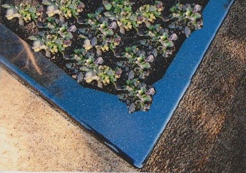 kapavietė su įrengtu gėlynu