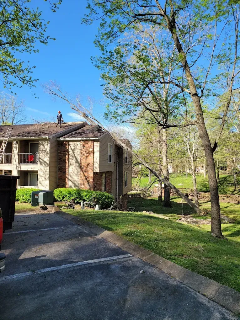 Person on a rooftop, possibly repairing it. Apartment building surrounded by trees and green space.