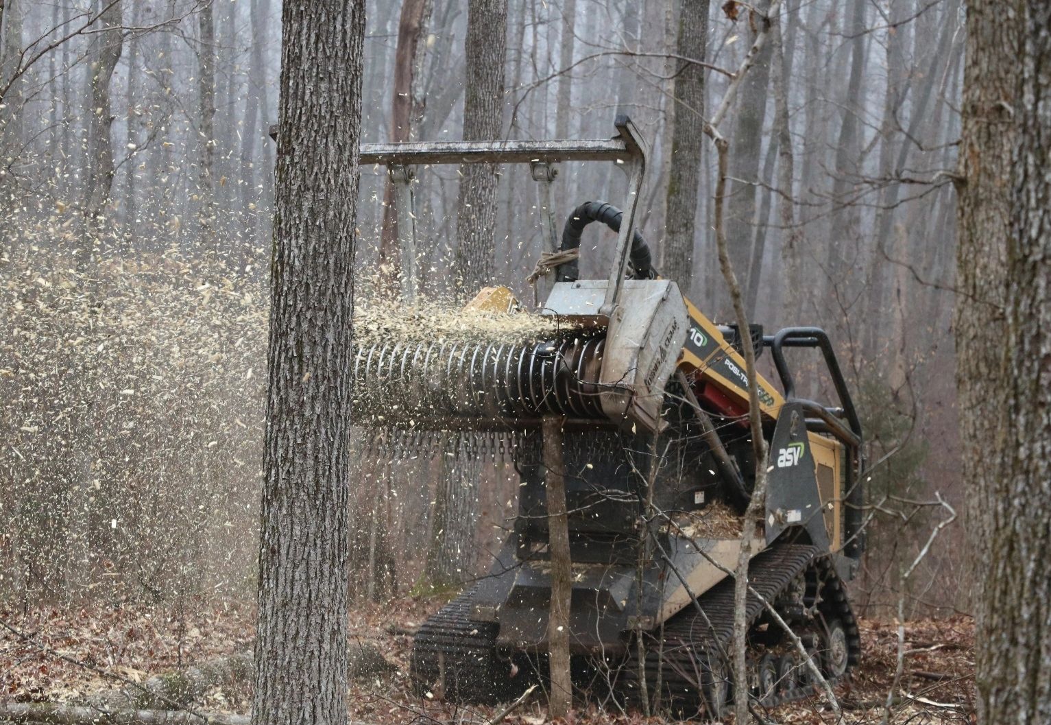 A forestry mulcher cutting a tree, spraying wood chips in a forest.